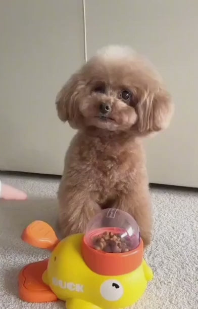 Pet Feeder