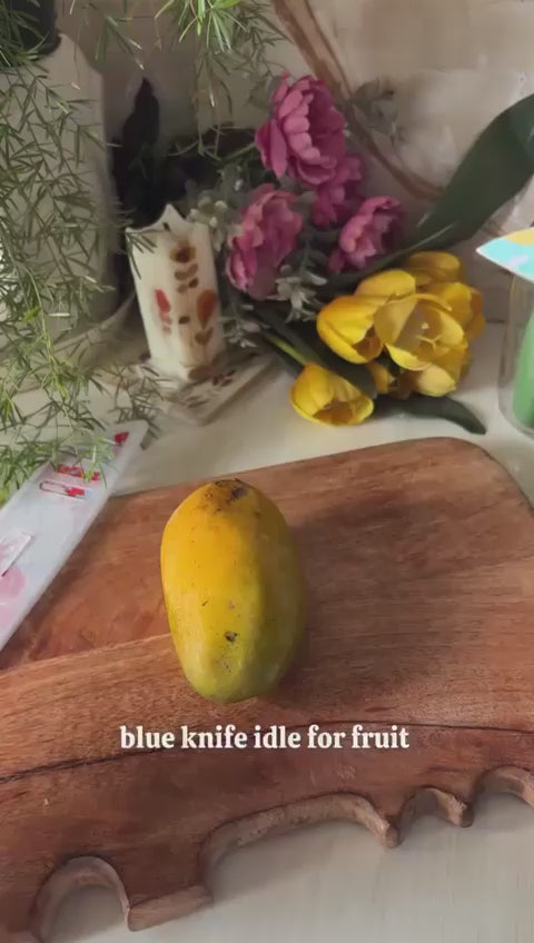 Set of 3 Floral Design Stainless Steel Professional Kitchen Knife Set