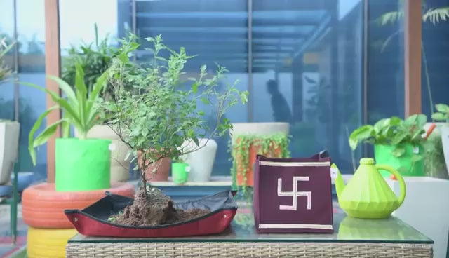 Tulsi Plant Grow Bag for Home/Gardening